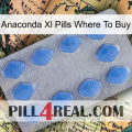 Anaconda Xl Pills Where To Buy 21